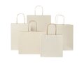 Agricultural waste paper bag with twisted handles - small 7