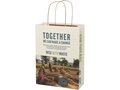 Agricultural waste paper bag with twisted handles - medium