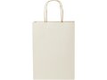 Agricultural waste paper bag with twisted handles - medium 2