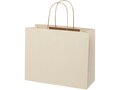 Agricultural waste paper bag with twisted handles - large 3