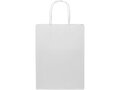 Kraft paper bag with twisted handles - medium 2