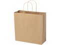 Kraft paper bag with twisted handles - X large 11