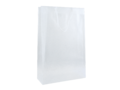 Clear bag with two windows A4 9