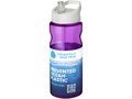 H2O Eco 650 ml  spout lid sport bottle 68