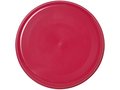 Cruz medium plastic frisbee 12