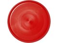 Cruz medium plastic frisbee 15