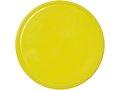 Cruz medium plastic frisbee 24