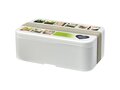 MIYO Renew single layer lunch box 1