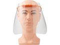 Protective face visor - Medium 17