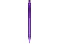 Calypso frosted ballpoint pen 12