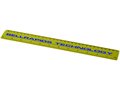 Ruler School 30 cm. 11