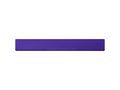 Ruler School 30 cm. 22
