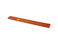 Rothko 30 cm ruler 4