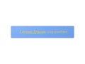 Rothko 20 cm ruler 11