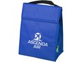 Triangle non-woven lunch cooler bag 12