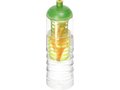 H2O Treble 750 ml dome lid bottle & infuser 8