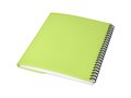 Curve A5 notebook 36