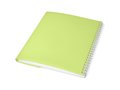 Curve A6 notebook 47