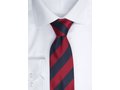 Tie Striped 6