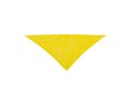 Neckerchief Plus 18