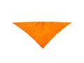 Neckerchief Plus 17