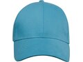 Trona 6 panel GRS recycled cap 29