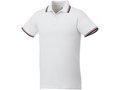 Fairfield short sleeve men's polo with tipping 3