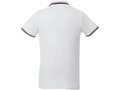 Fairfield short sleeve men's polo with tipping 2