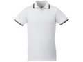 Fairfield short sleeve men's polo with tipping 1