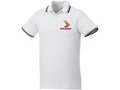 Fairfield short sleeve men's polo with tipping 4