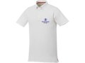 Atkinson short sleeve button-down men's polo 4