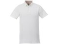 Atkinson short sleeve button-down men's polo 1