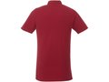 Atkinson short sleeve button-down men's polo 6