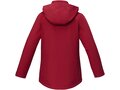 Notus women's padded softshell jacket 3