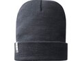 Hale Polylana® beanie 9