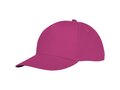 Hades 5 panel cap 18