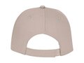 Ares 6 panel cap 17