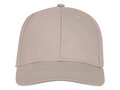 Ares 6 panel cap 16