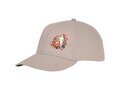 Ares 6 panel cap 15