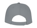 Ares 6 panel cap 21