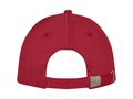 Doyle 5 panel cap 6