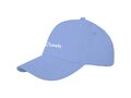 Doyle 5 panel cap 34