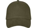 Doyle 5 panel cap 3