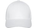 Davis 6 panel cap 2