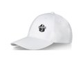 Davis 6 panel cap