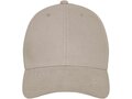 Davis 6 panel cap 34
