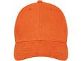 Davis 6 panel cap 23