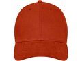 Davis 6 panel cap 15