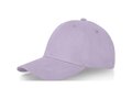 Davis 6 panel cap 13