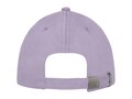 Davis 6 panel cap 10